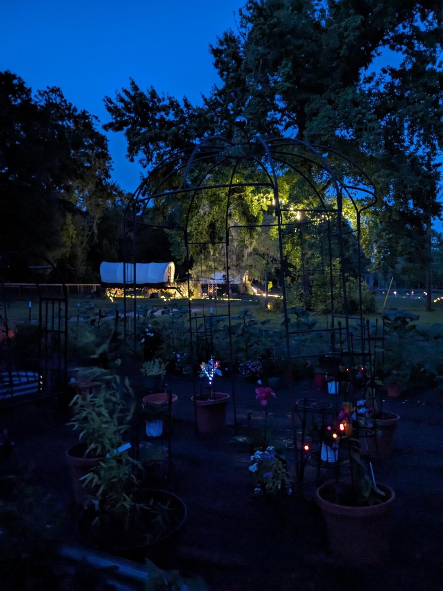 Rooterville Animal Sanctuary Melrose Kültér fotó